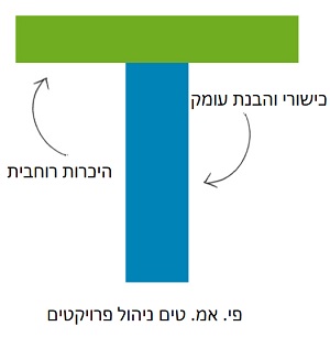 המחשת מודל פרופיל מנהל T